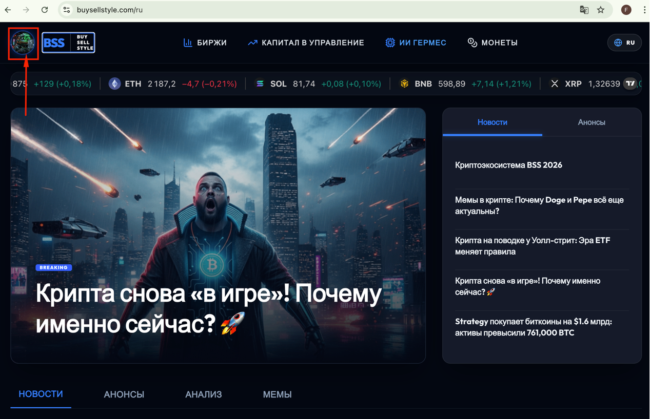 Процесс авторизации в личном кабинете BSS2026